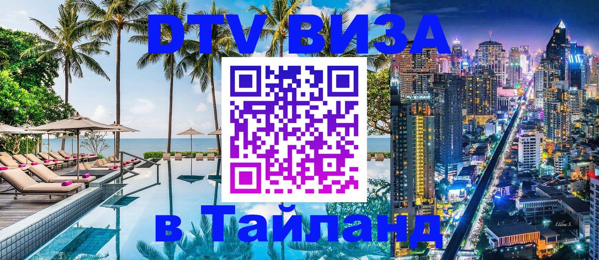 Оформление DTV визы под ключ: стоимость и тарифы, только загранпаспорт - 